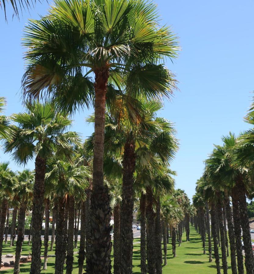 Sunny Suite Tanife By Yumbo Playa del Inglés Buitenkant foto